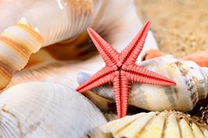 Real Starfish